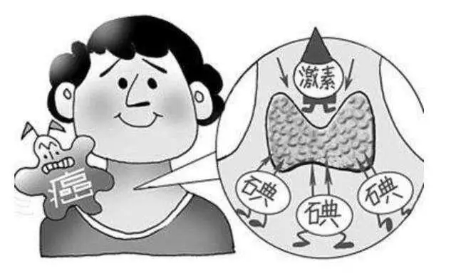 5月19日甲状腺癌与乳腺癌的关系！3.png