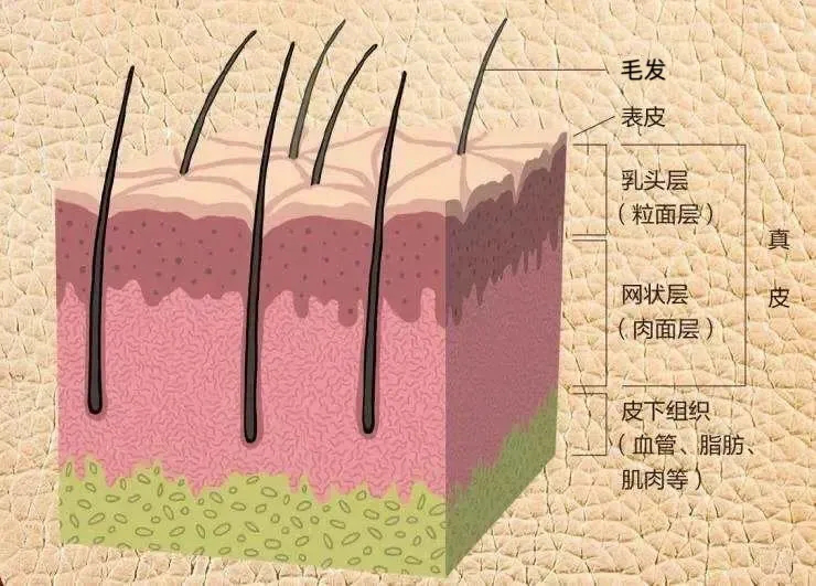 6月19日放疗后皮肤状况不断？应对方法很重要！打开学习1.png