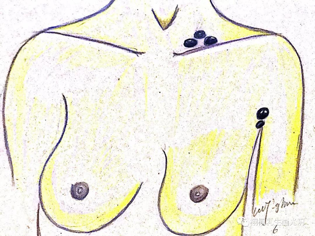 6月17日图解女人裸露的灵魂-乳房常识15.png