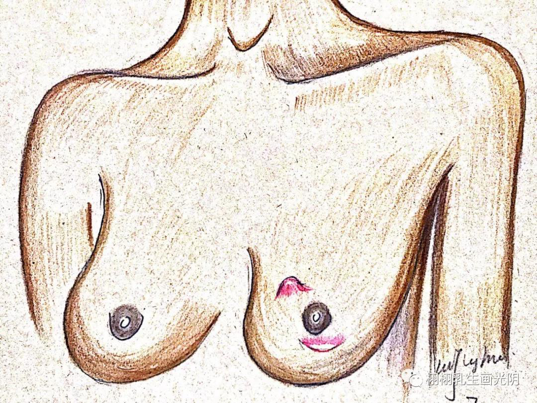 6月17日图解女人裸露的灵魂-乳房常识16.png
