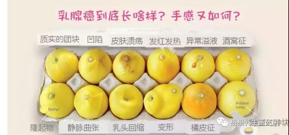 6月17日图解女人裸露的灵魂-乳房常识10.png