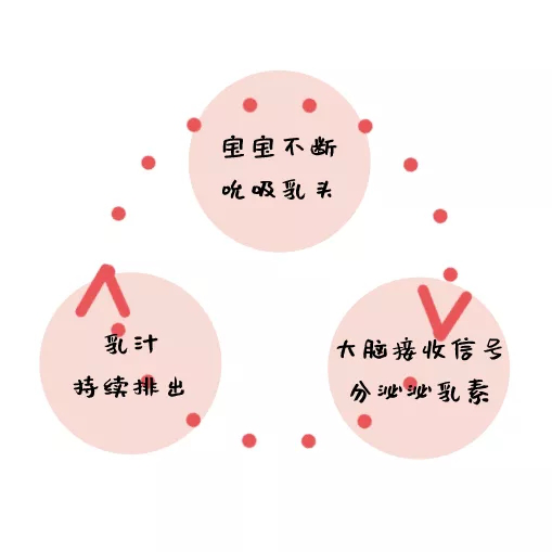 7月10日大胸 小胸 大小胸，哪种胸是健康的好胸？2.png