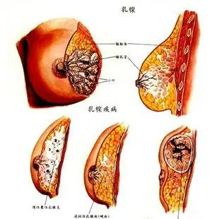 微信图片_20200826154050.png