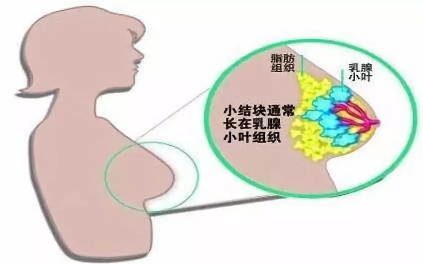 微信图片_20200831100707.png