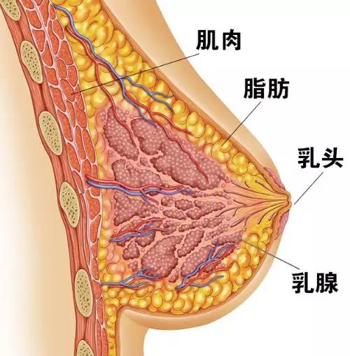 微信图片_20200826085246.jpg