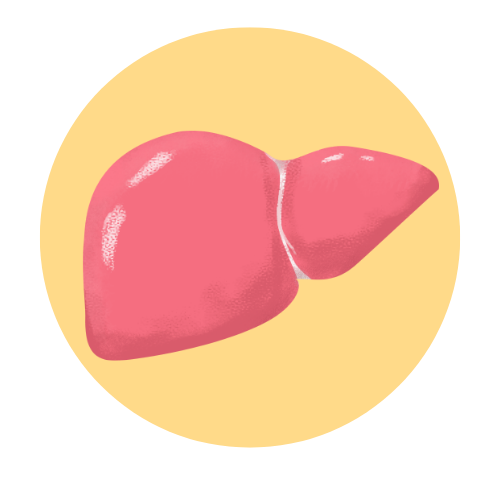 8.png