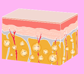 3.png