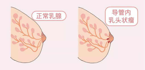 1月文章26264.png