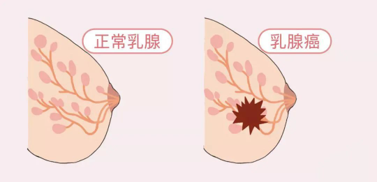1月文章26487.png