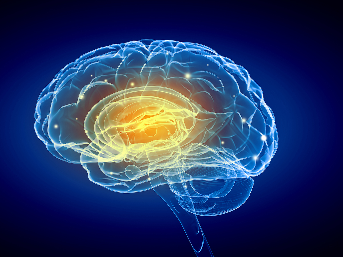摄图网_300232732_蓝色背景下人脑的人类智力人类的大脑（企业商用）.jpg